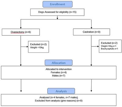 Respiratory response to finger clamping in dogs under general anesthesia: A descriptive pilot study